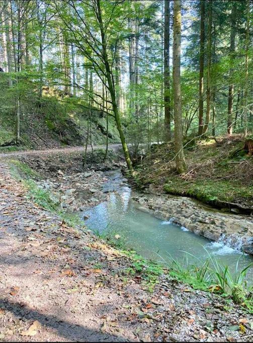 Casa Natur Pur, 85M2 Mit Garten Sauna Fischbachau Exterior foto